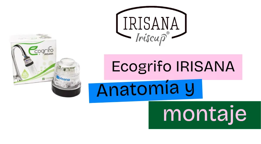 ${post.title[currentLang]}